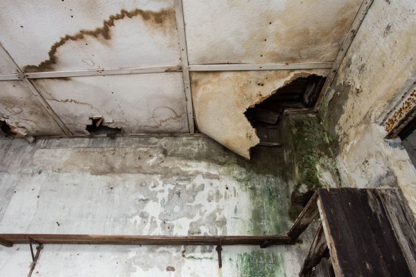 Water Damage Service in Avon