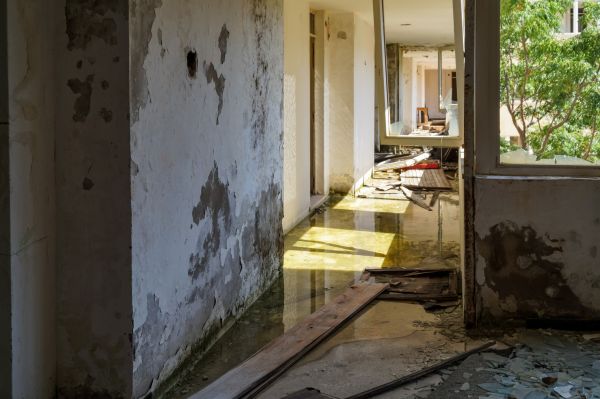 Water Removal Service in Avon