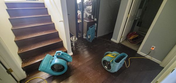 Water Damage Remediation in Avon