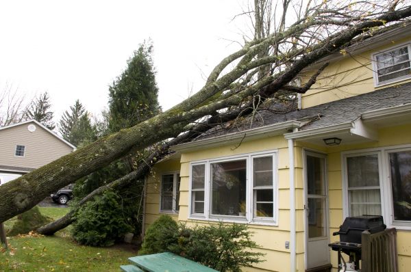 Hurricane Damage Repair in Avon